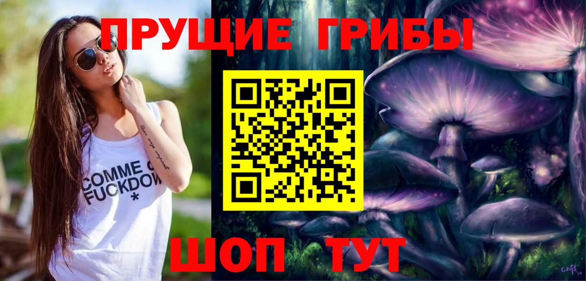 Галлюциногенные грибы Psilocybe  Вход с VPN  Борисоглебск 